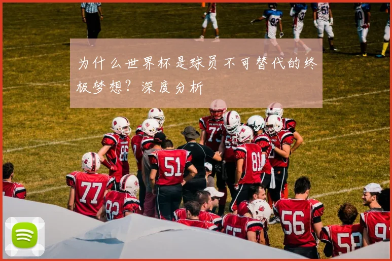 为什么世界杯是球员不可替代的终极梦想？深度分析
