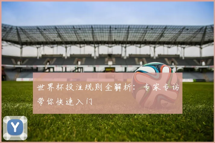世界杯投注规则全解析:专家专访带你快速入门