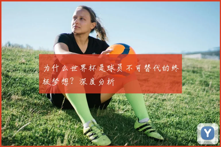 为什么世界杯是球员不可替代的终极梦想？深度分析