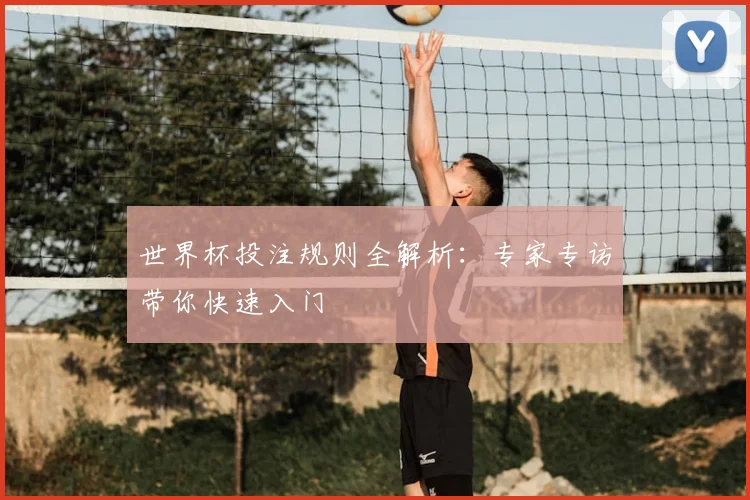 世界杯投注规则全解析:专家专访带你快速入门