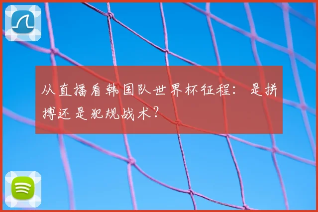 从直播看韩国队世界杯征程：是拼搏还是犯规战术？