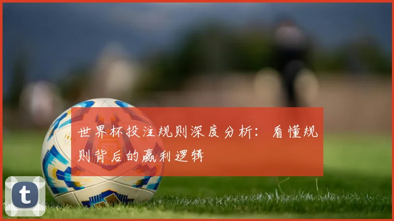世界杯投注规则深度分析:看懂规则背后的赢利逻辑