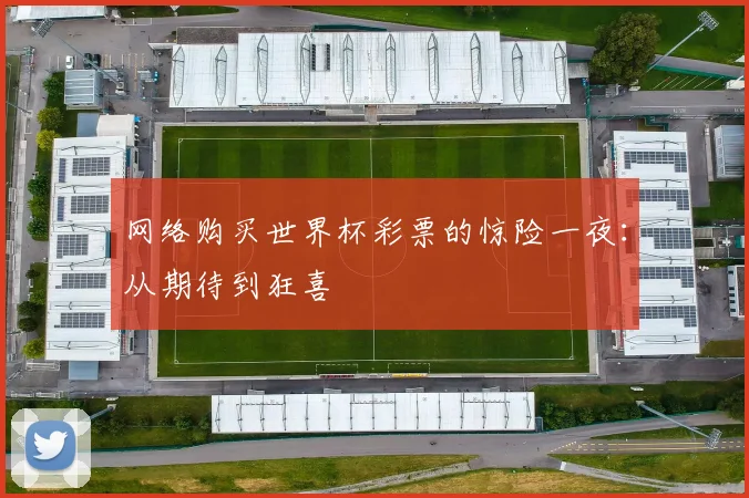 网络购买世界杯彩票的惊险一夜：从期待到狂喜